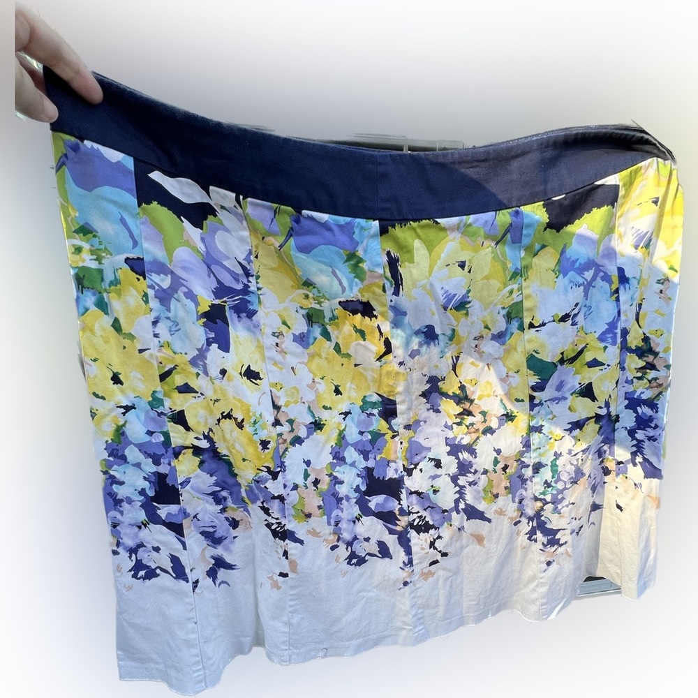 Lane Bryant skirt